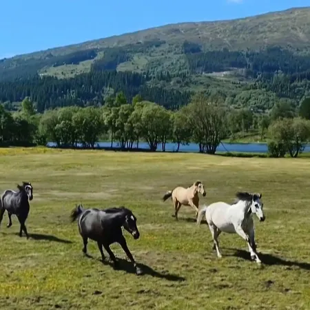 Nesvika 5 Bedroom Home, Only 25 Min From Bergen