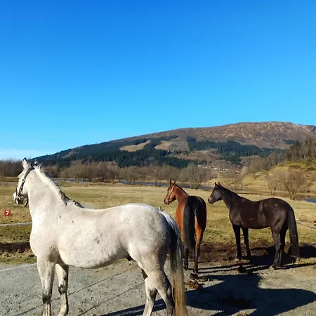 Holiday home Nesvika Nature Reserve Home, Only 25 Min From *