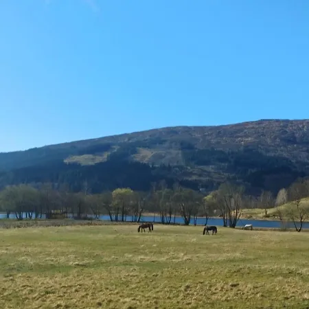 Nesvika Nature Reserve Home, Only 25 Min From *