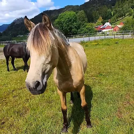 Holiday home Nesvika Nature Reserve Home, Only 25 Min From
