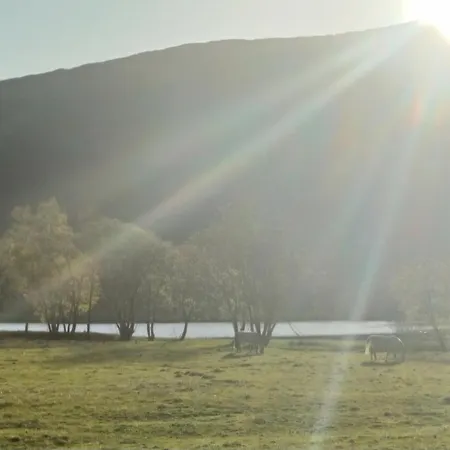 Nesvika Nature Reserve Home, Only 25 Min From * Bergen