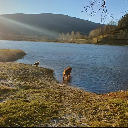 Nesvika Nature Reserve Home, Only 25 Min From Dom wakacyjny *