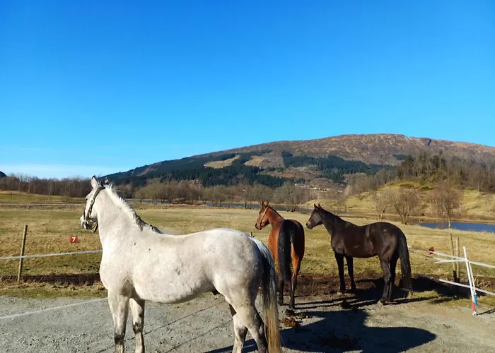 Ferienhaus Nesvika 5 Bedroom Home, Only 25 Min From *