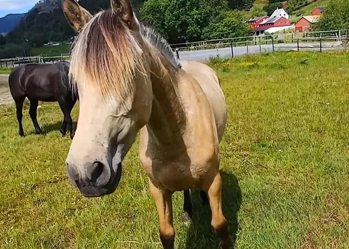 Ferienhaus Nesvika 5 Bedroom Home, Only 25 Min From